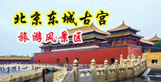 国产黑色美女30p中国北京-东城古宫旅游风景区
